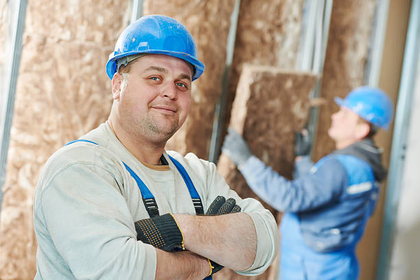 Best Wall Insulation Installation  in Isanti, MN